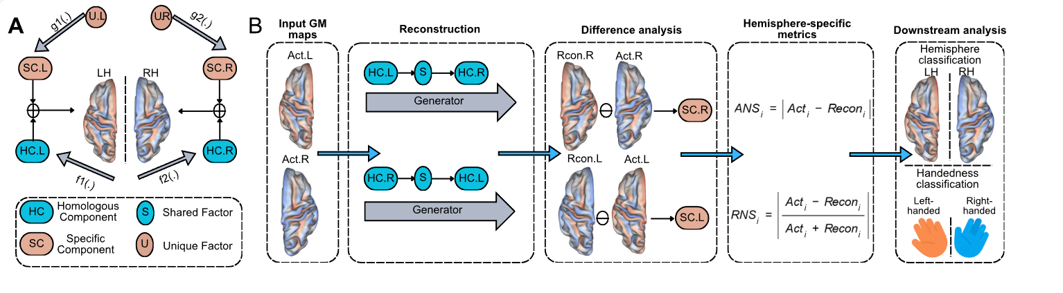 HemiSpec downstream task workflow overview